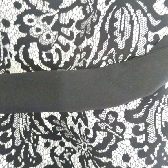 XS Jacob Lace Print Dress - Picture 4 of 4